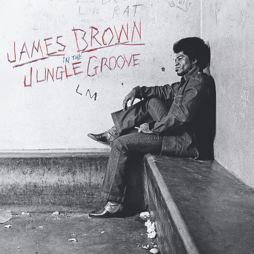 In The Jungle Groove — cover art