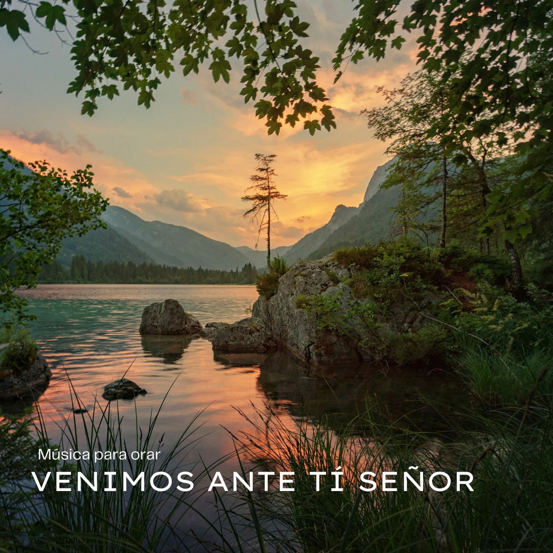 Album cover of Venimos ante tí Señor