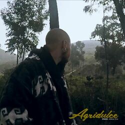 Cover of Agridulce