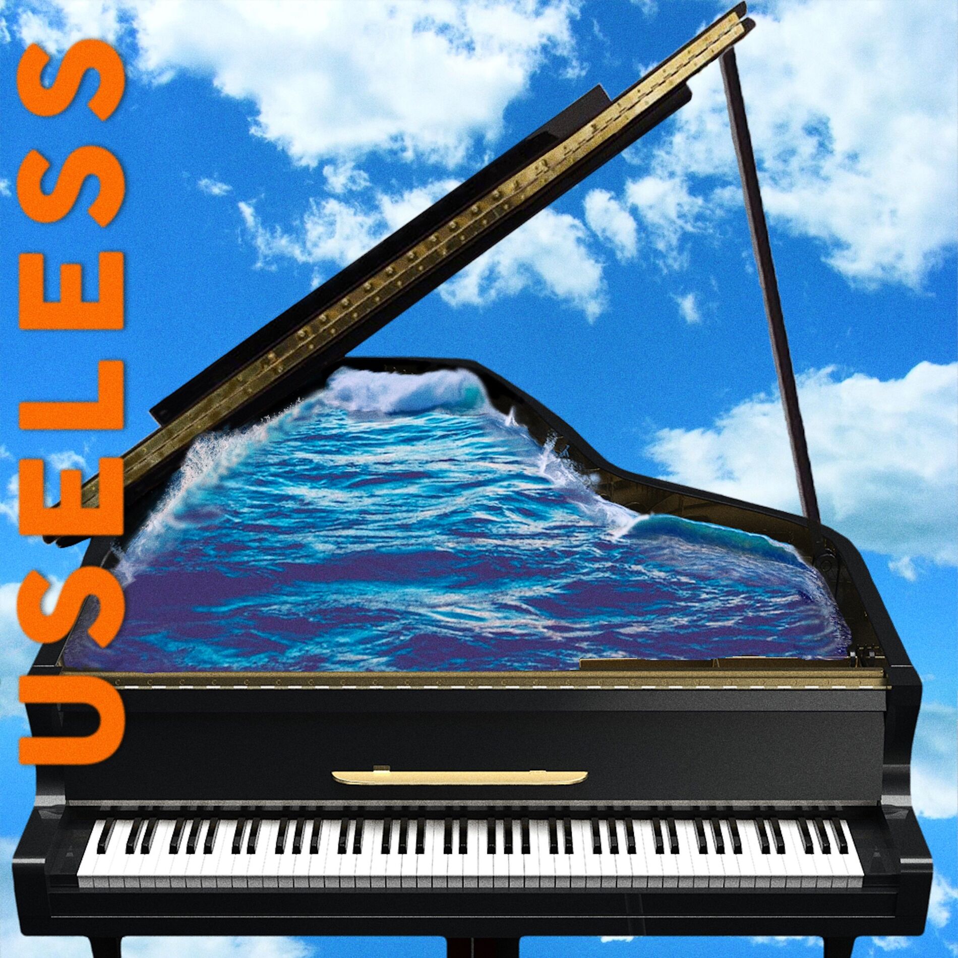 Album cover of Useless