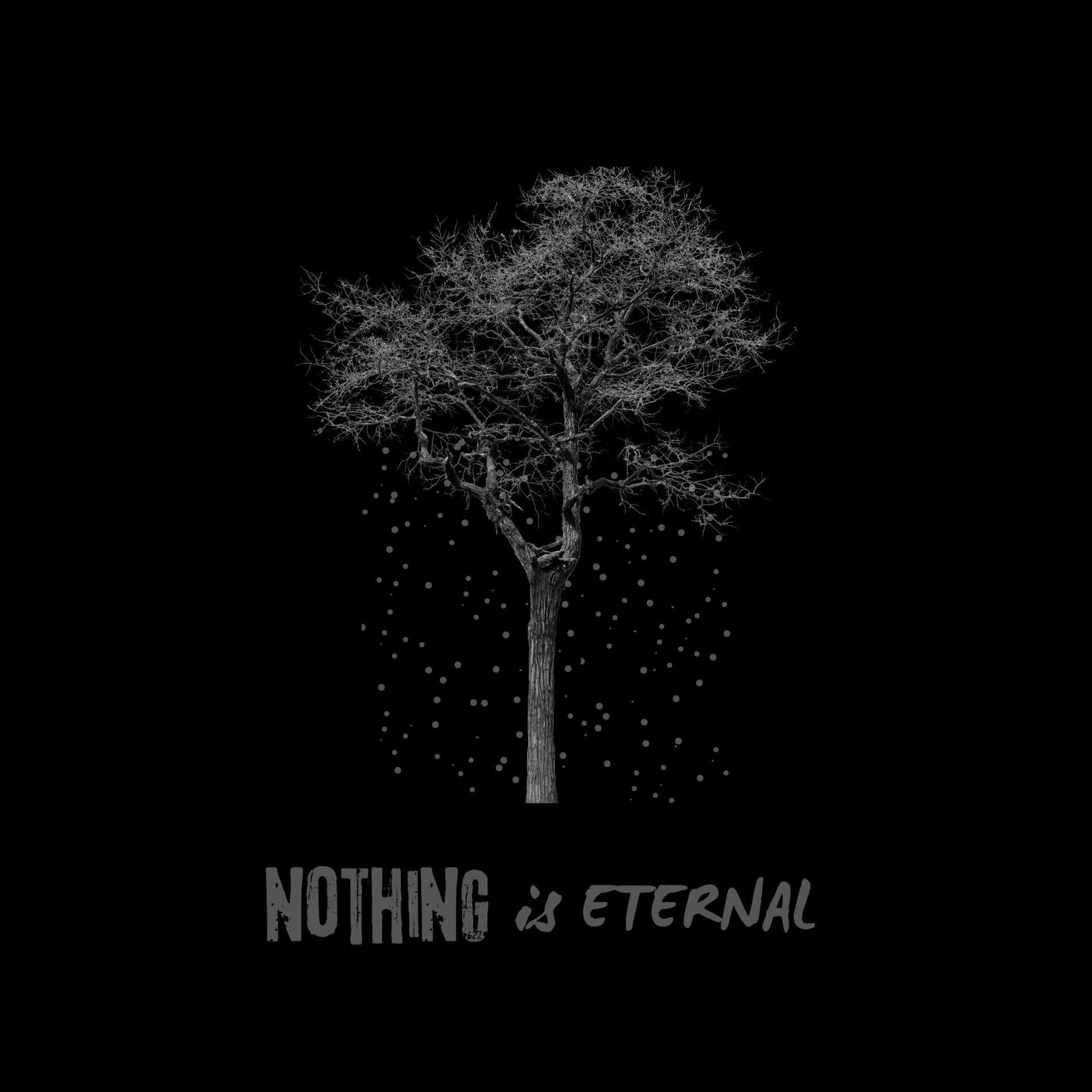 Album cover of Nothing Is Eternal