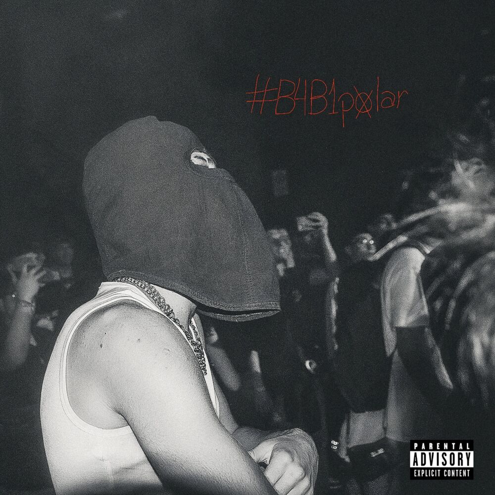 Picture of B4B1Polar