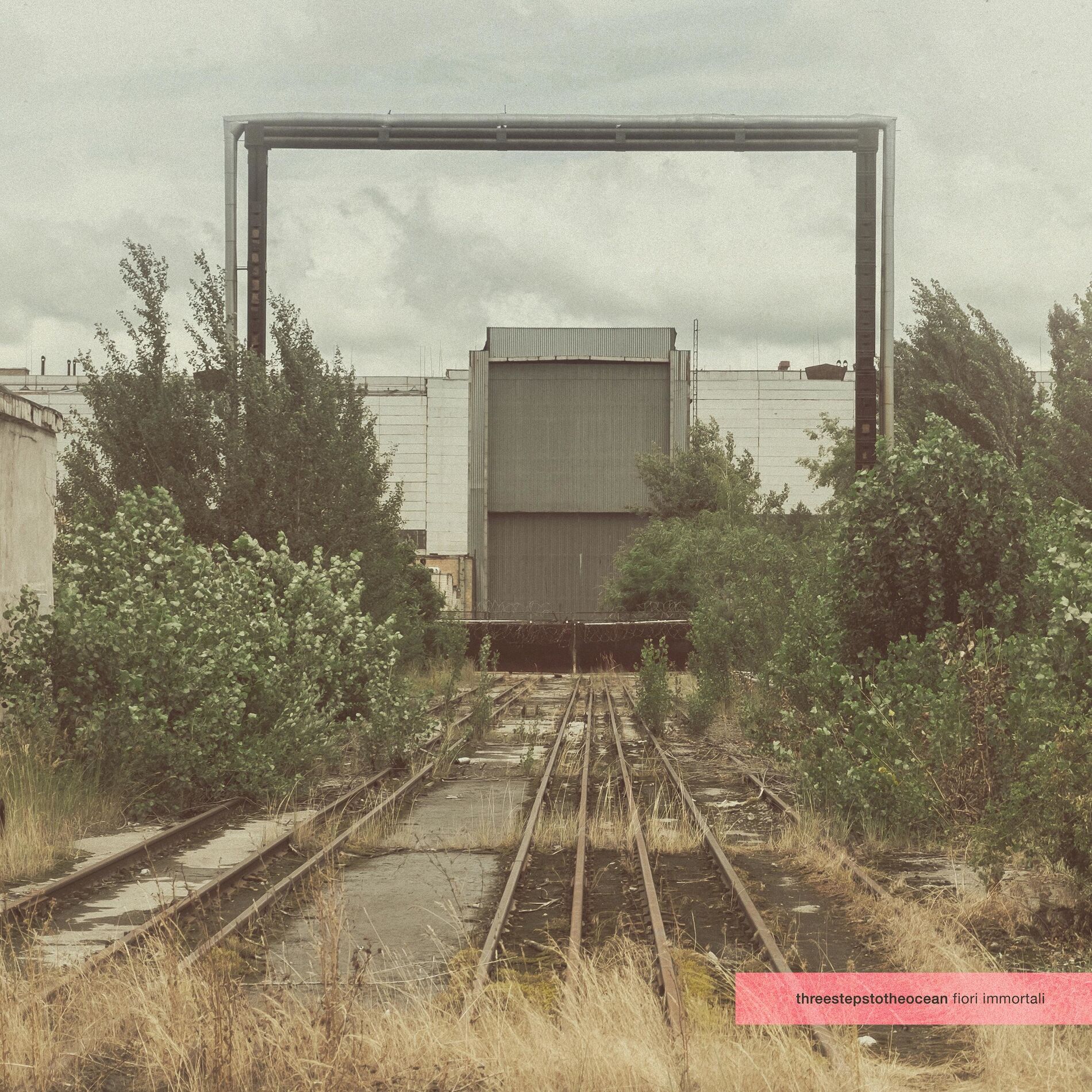 Album cover of Fiori Immortali