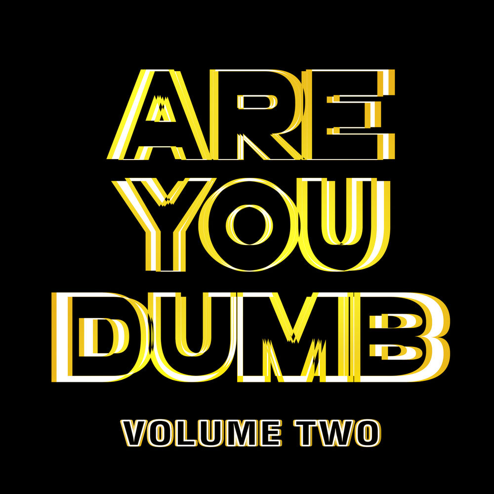 Picture of Are You Dumb? Vol. 2