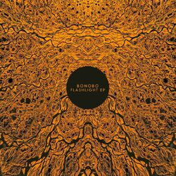 Cover of Flashlight EP