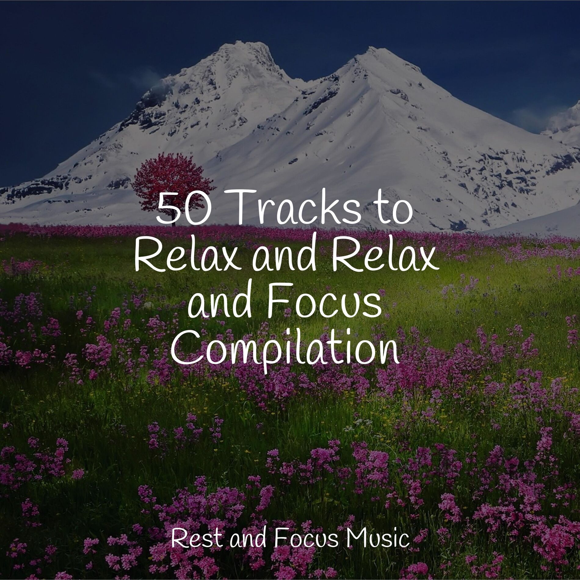 Album cover of 50 Tracks to Relax and Relax and Focus Compilation