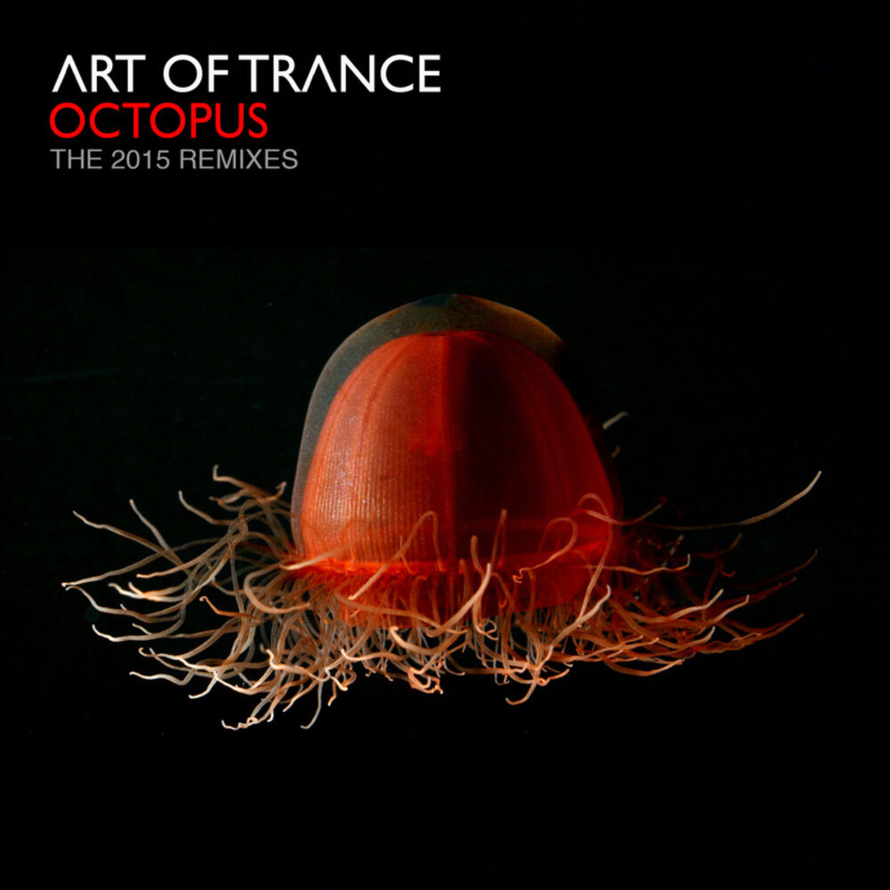Picture of Octopus - The 2015 Remixes