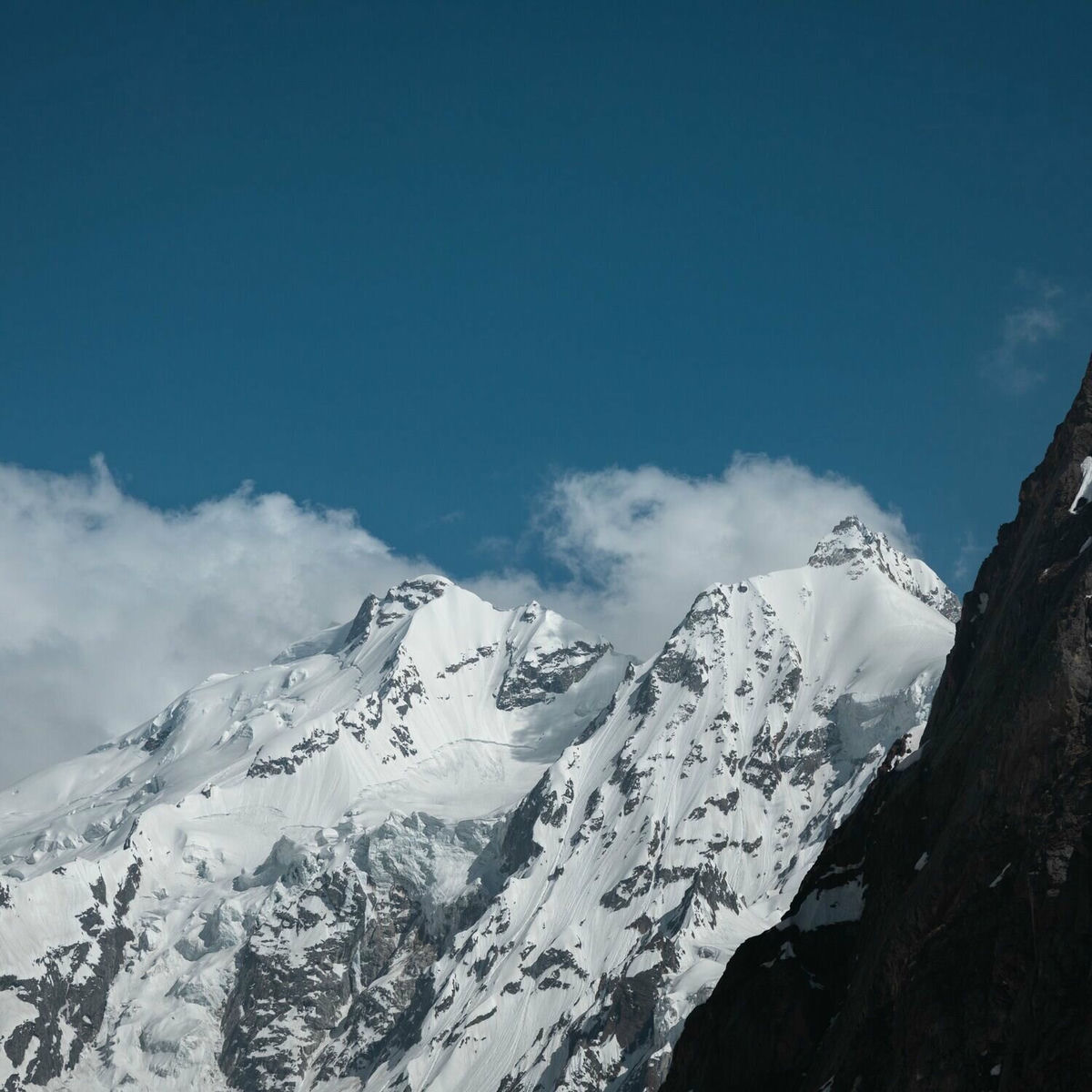 Album cover of Fagogane