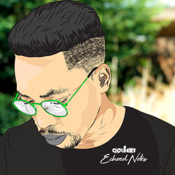 Cover of Echoed Notes