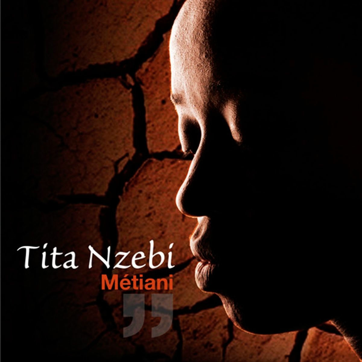 Album cover of Métiani