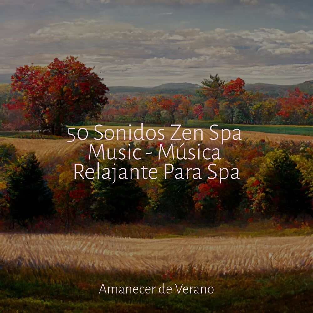 Picture of 50 Sonidos Zen Spa Music - Música Relajante Para Spa