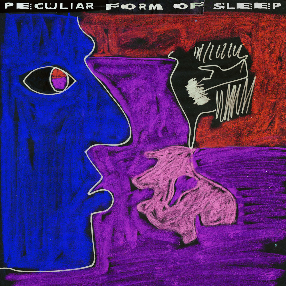 Picture of Peculiar Form of Sleep