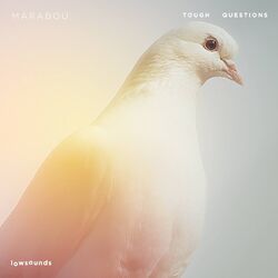 Cover of Tough Questions