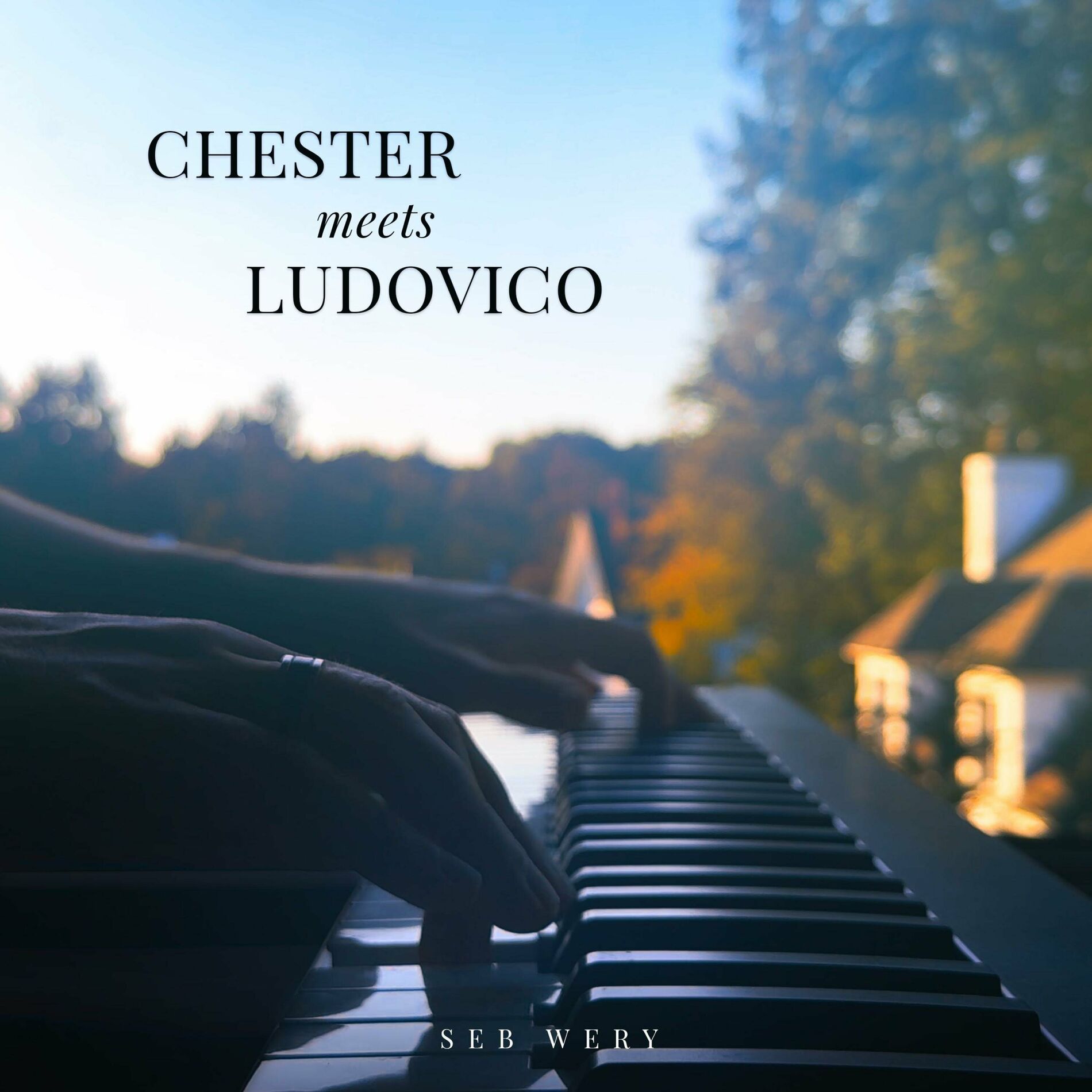 Album cover of Chester Meets Ludovico