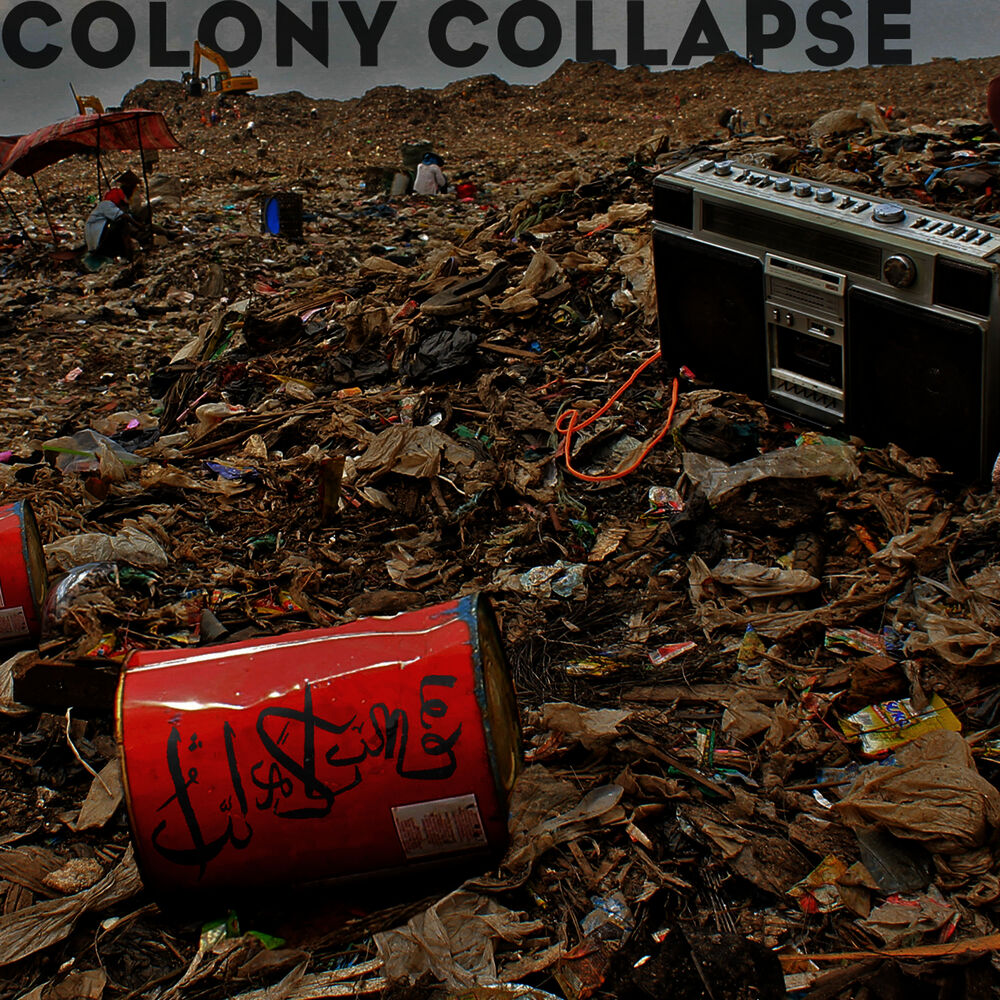 Picture of Colony Collapse
