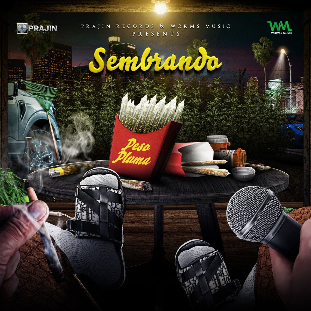 Album cover of Sembrando