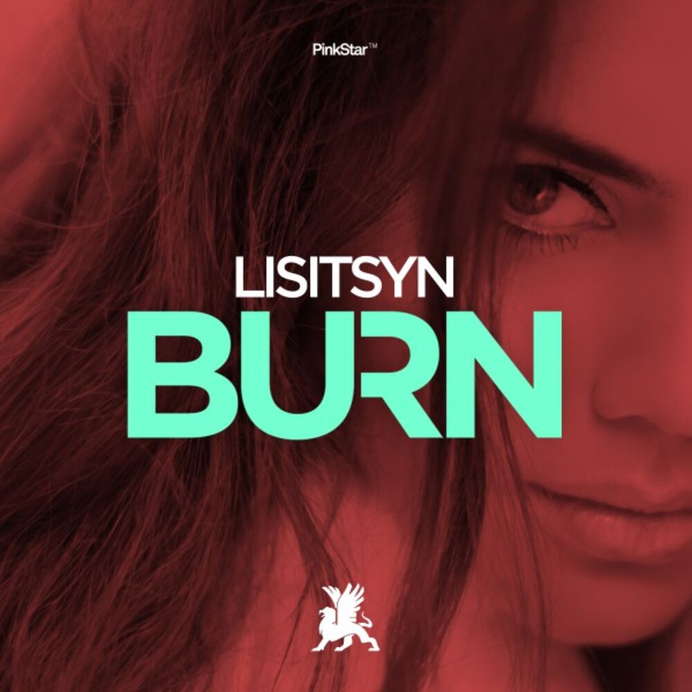 Picture of Burn