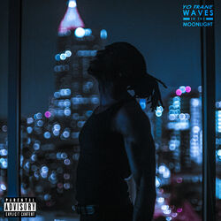 Cover of Waves In The Moonlight