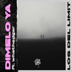 Cover of Dimelo Ya