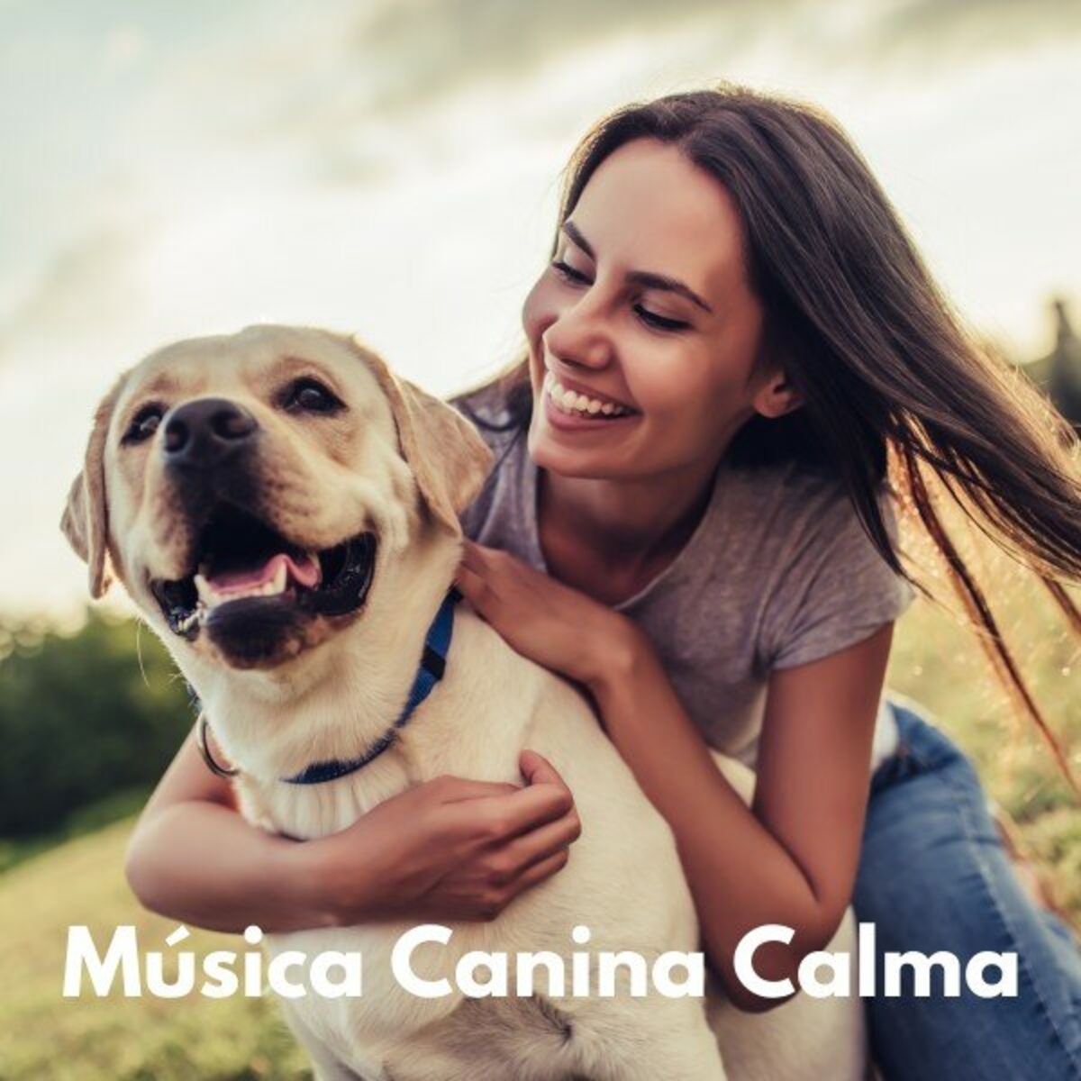 Album cover of Música Canina Calma