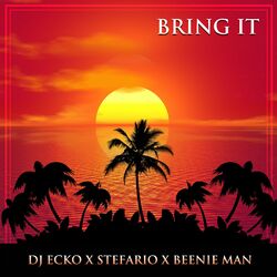 Cover of Bring It