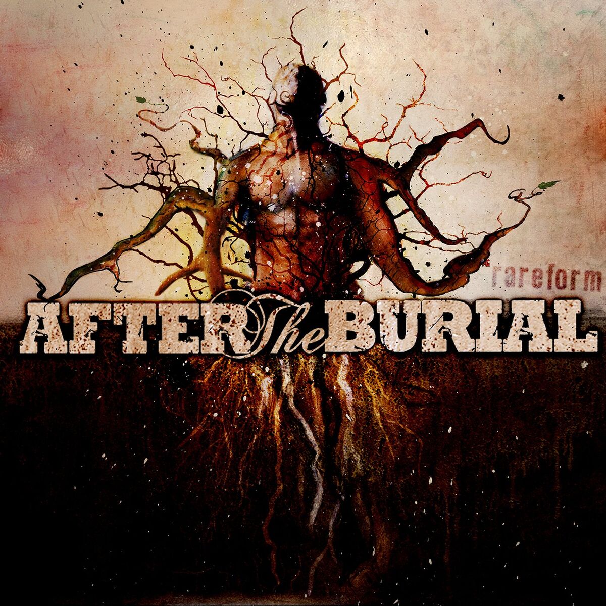 Album cover of Rareform