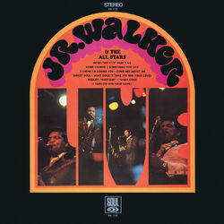 Cover of Live
