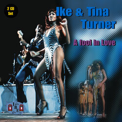 Cover of A Fool In Love