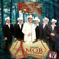 Cover of Divino Amor Eterno