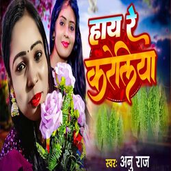 Cover of Hey Re Karetoya