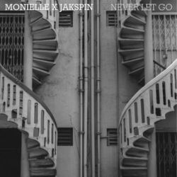 Cover of Never Let Go