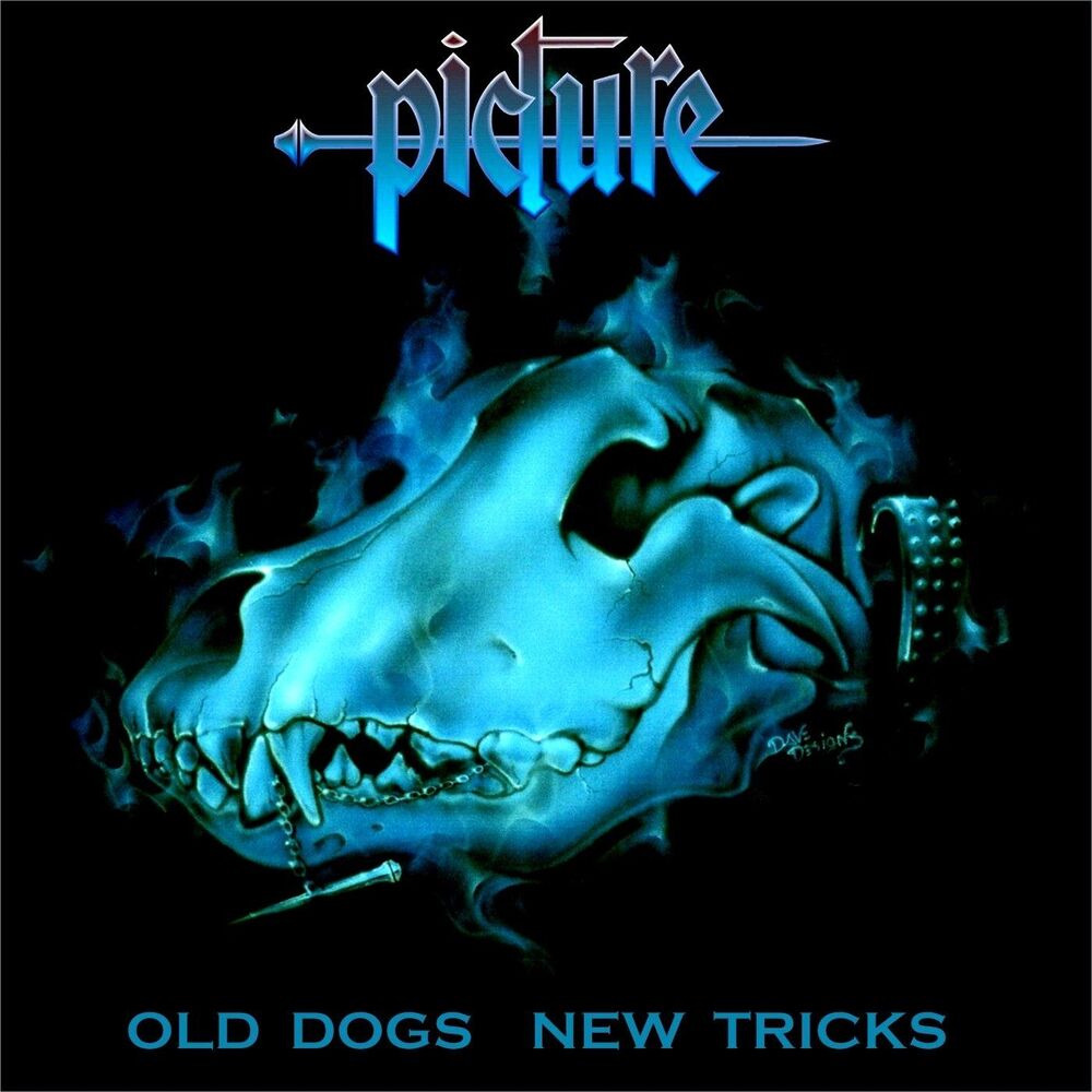 Picture of Old Dogs New Tricks