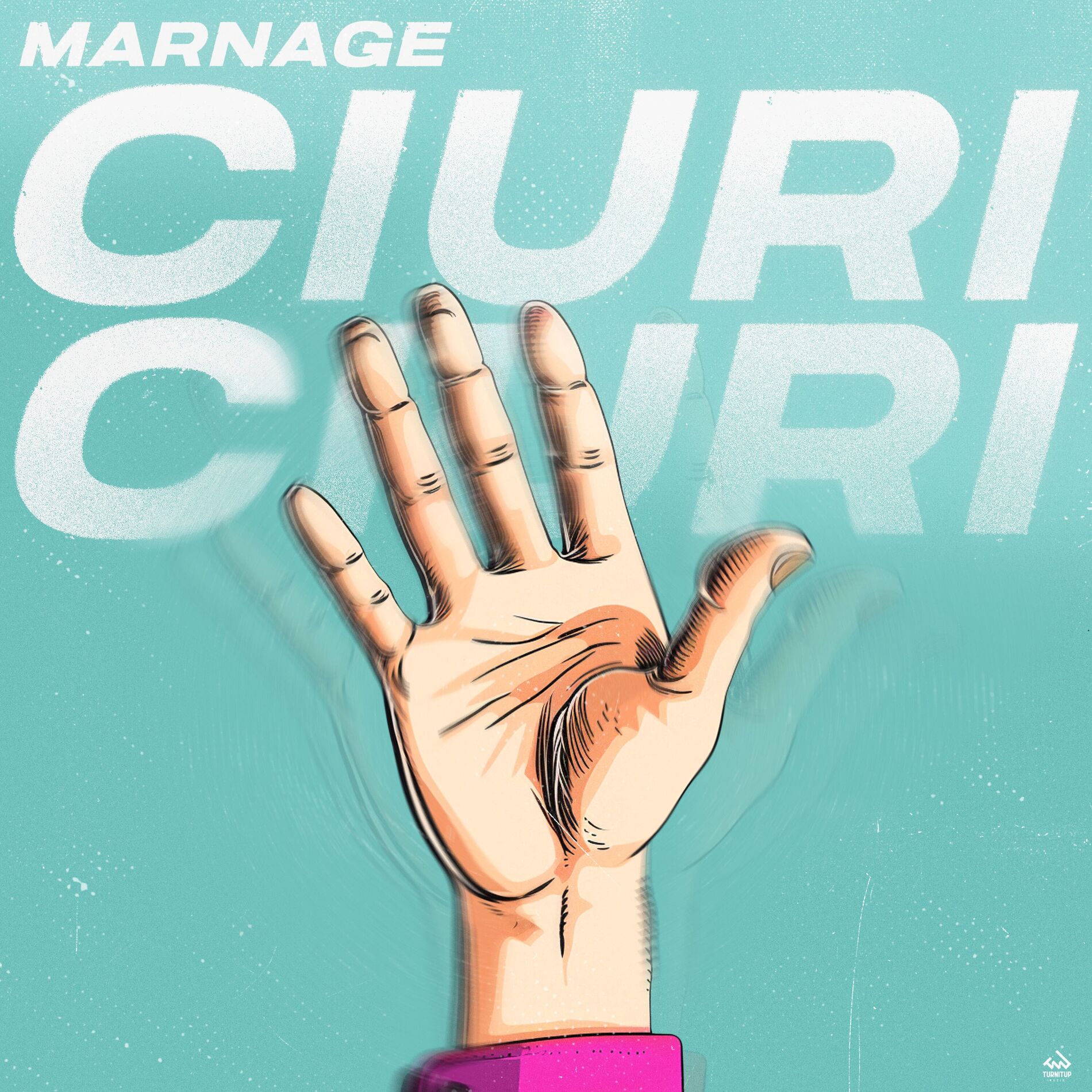Album cover of Ciuri Ciuri