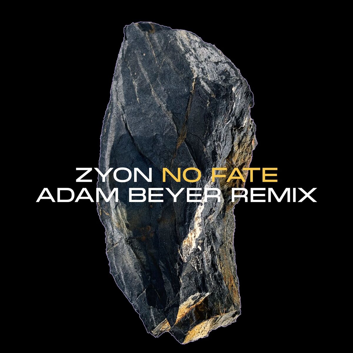 Album cover of No Fate