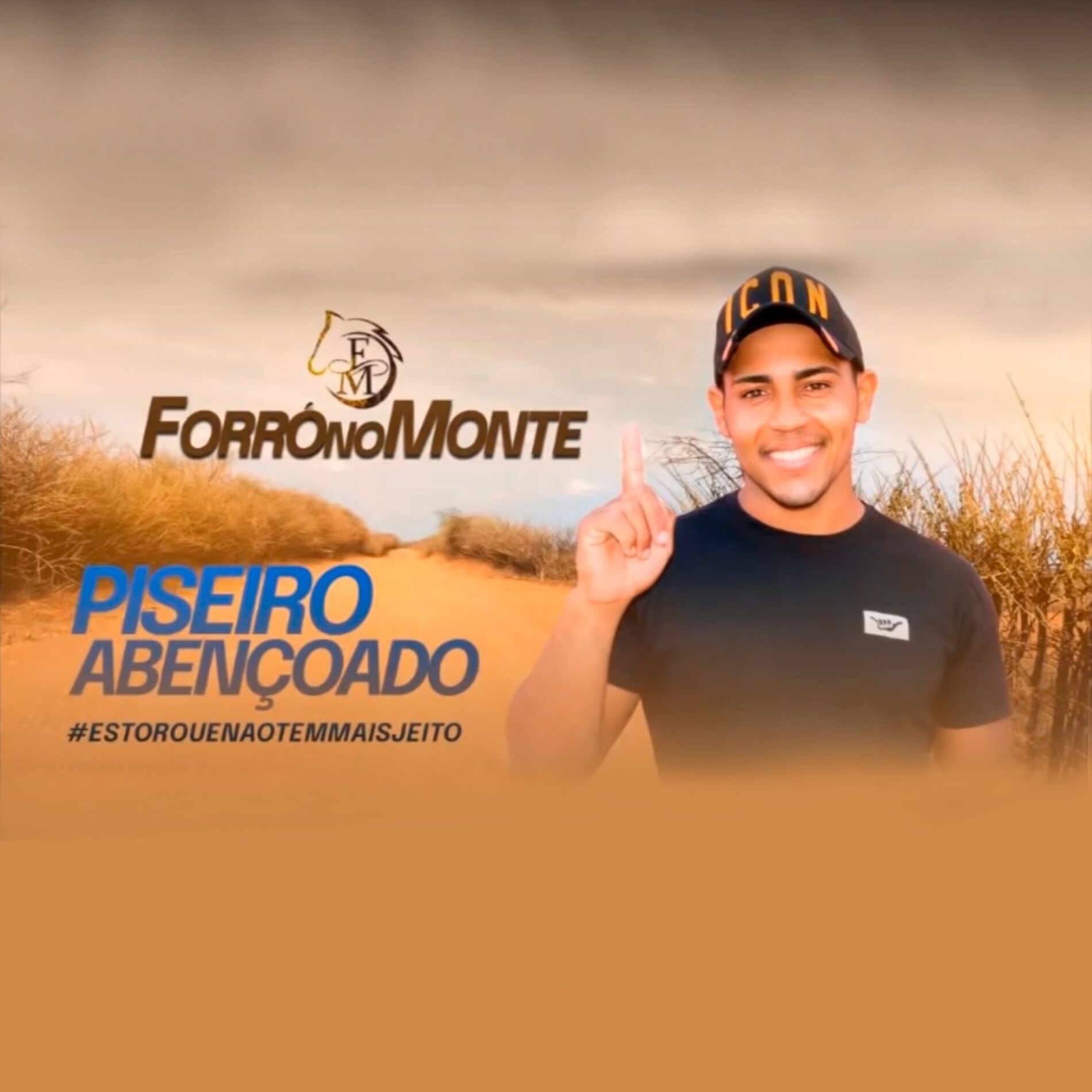 Album cover of Piseiro Abençoado