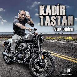 Cover of Vur Dibine