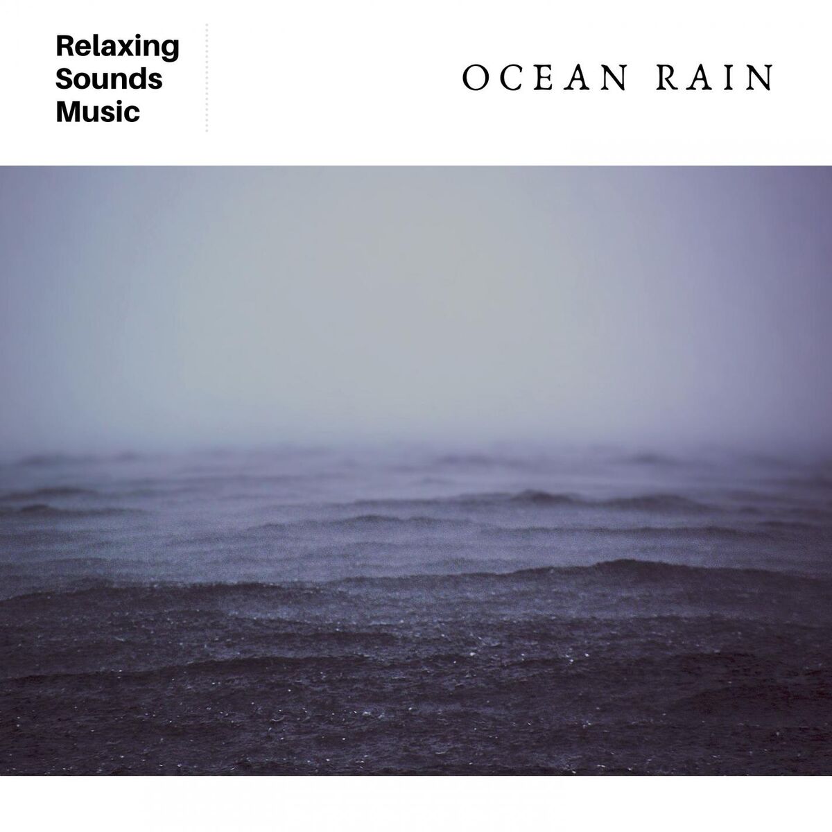 Album cover of The Ocean Rain