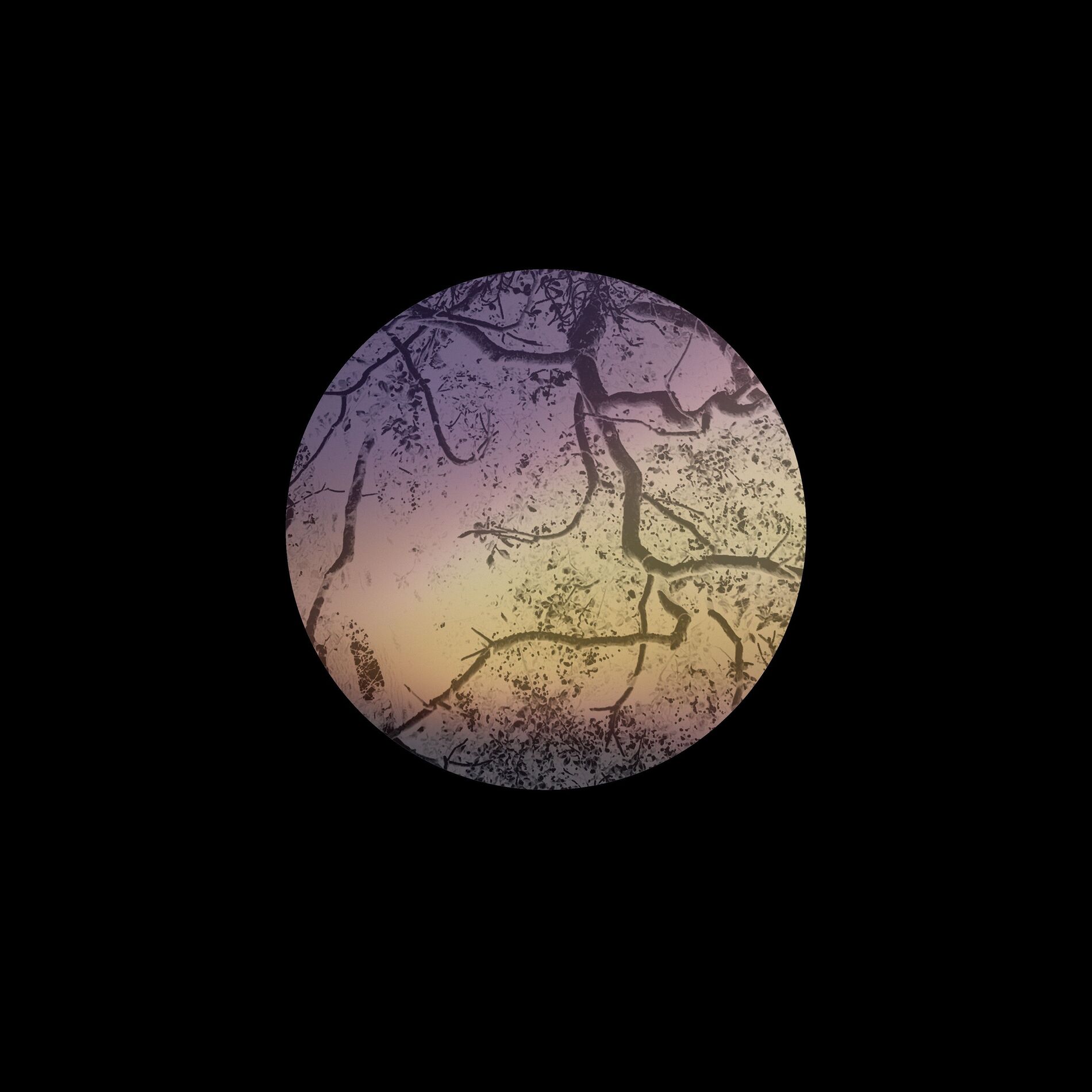 Album cover of Corser Hill