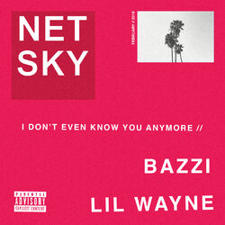 Cover of I Don’t Even Know You Anymore