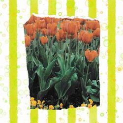 Cover of Ambiance for Scenic Ballads