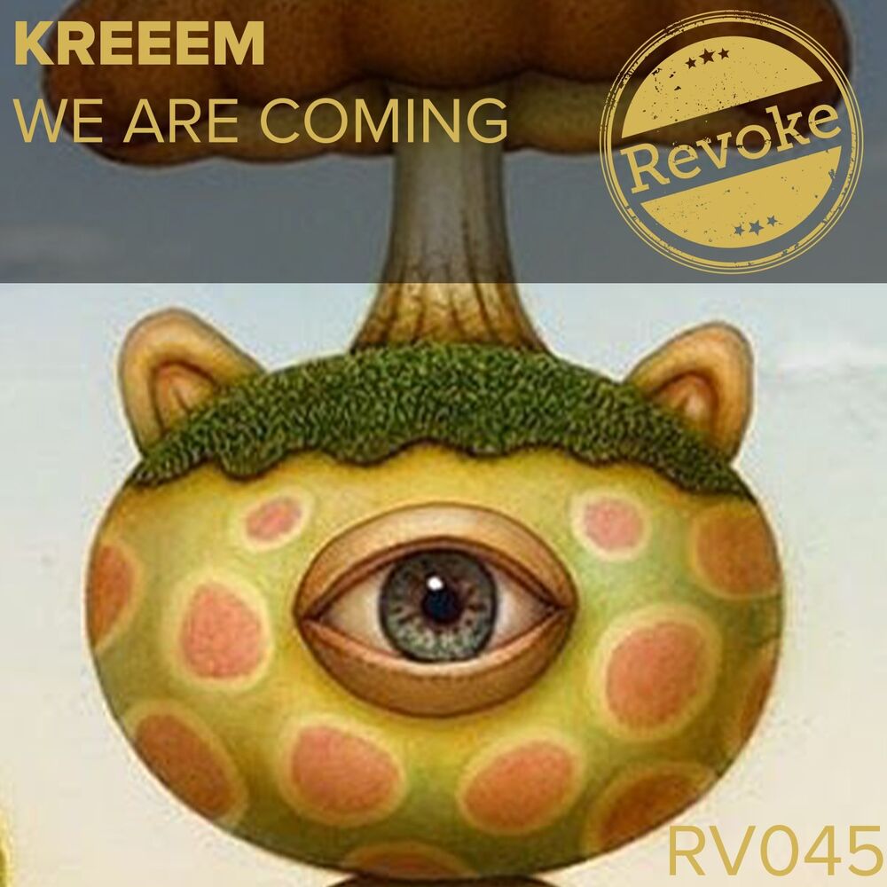 Picture of We Are Coming