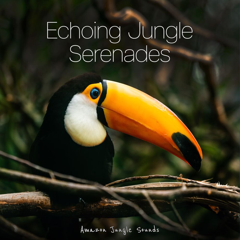 Picture of Echoing Jungle Serenades