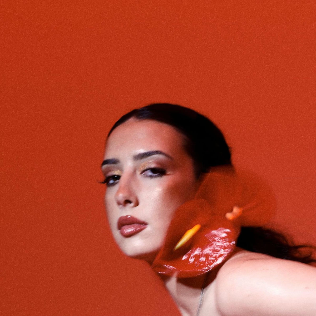 Album cover of MATADOR