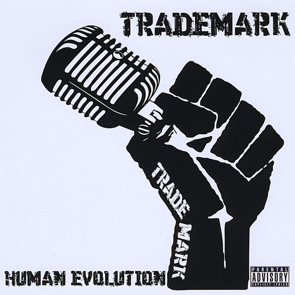 Picture of Human Evolution
