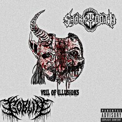 Cover of Veil Of Illusions