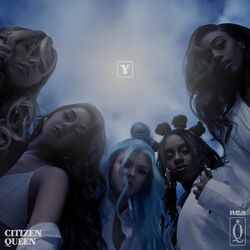 Cover of Y