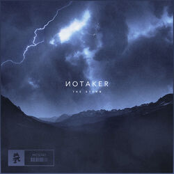 Cover of The Storm