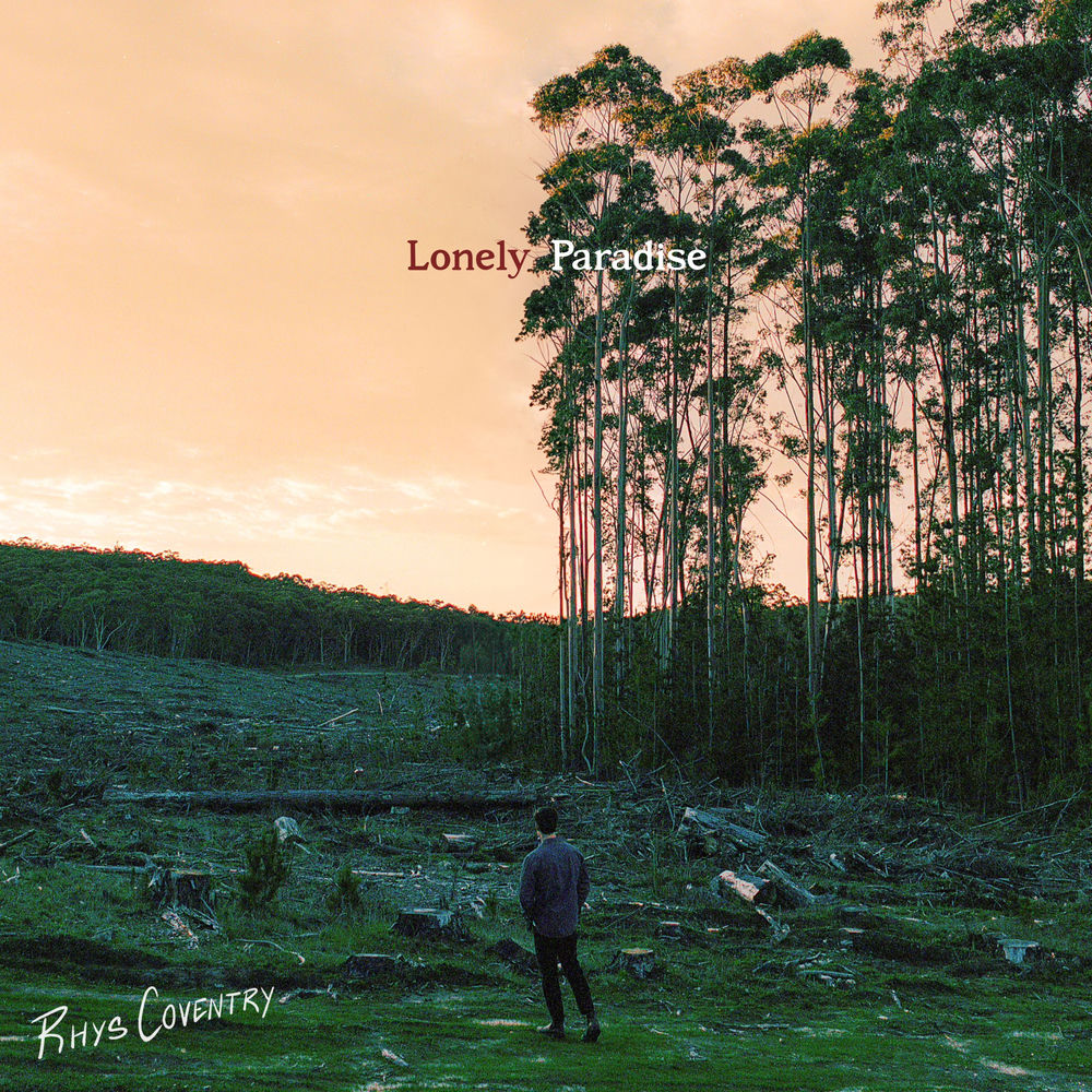 Lonely Paradise artwork