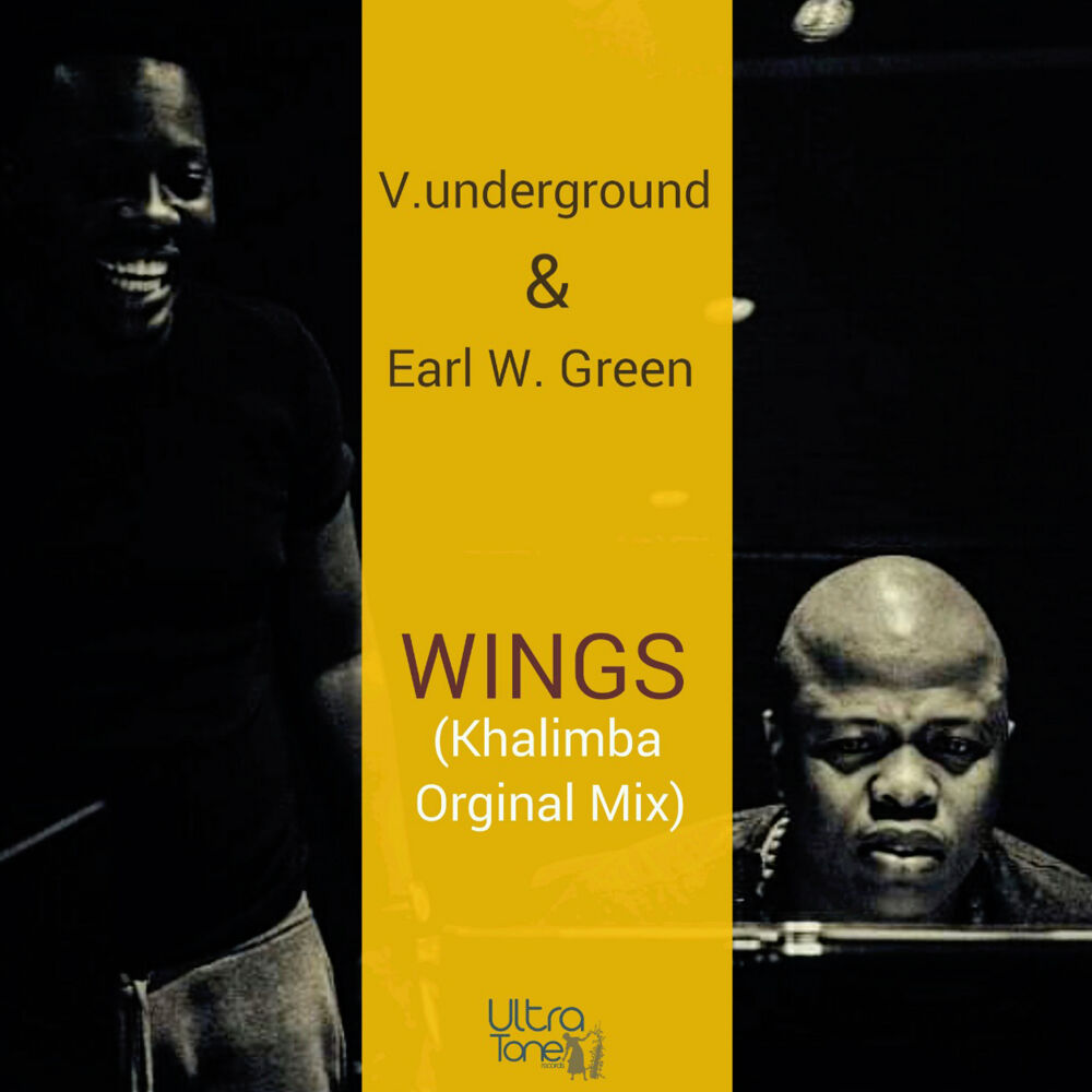Picture of Wings (Khalimba Original Mix)