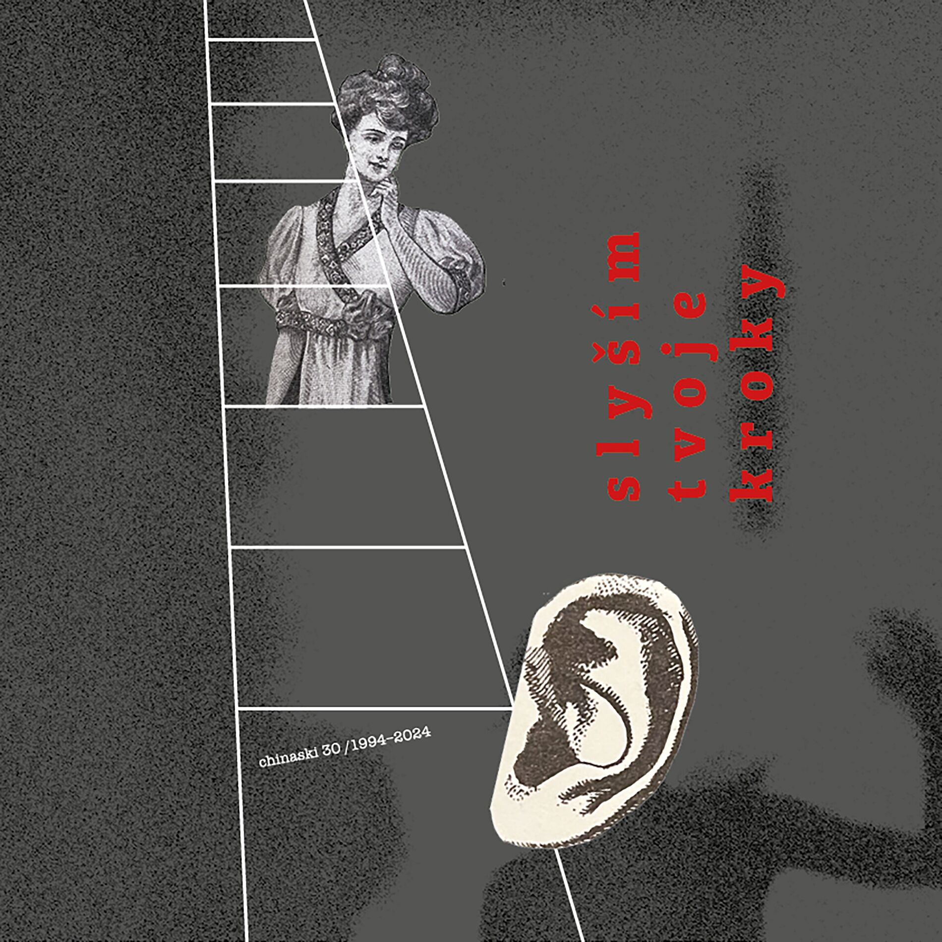 Album cover of Slyším tvoje kroky